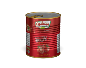 Tomato Paste Behneshin 800g