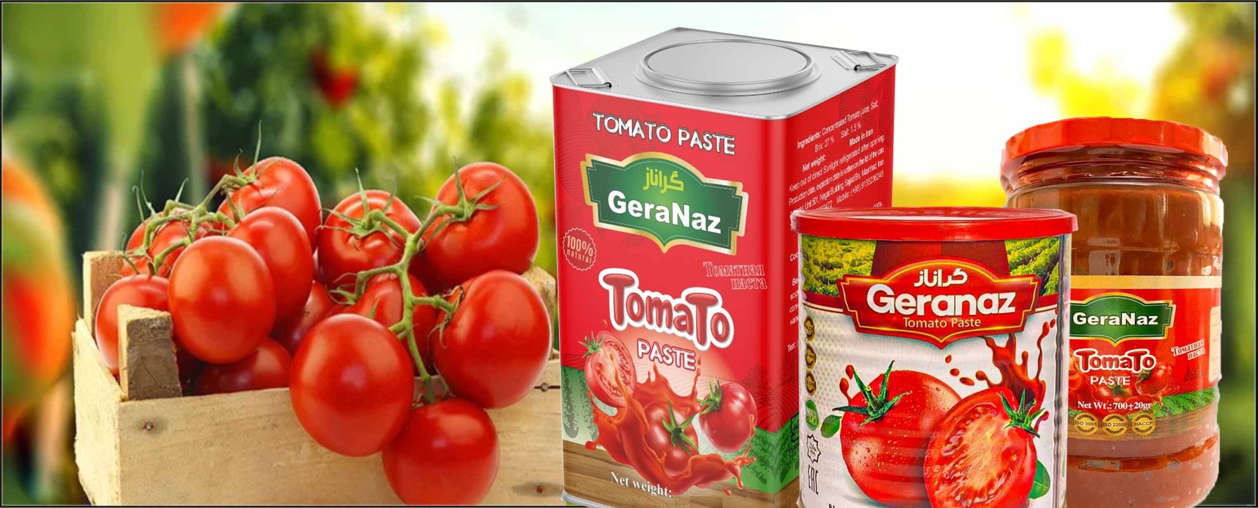 بسته بندی های رب گوجه فرنگی گراناز